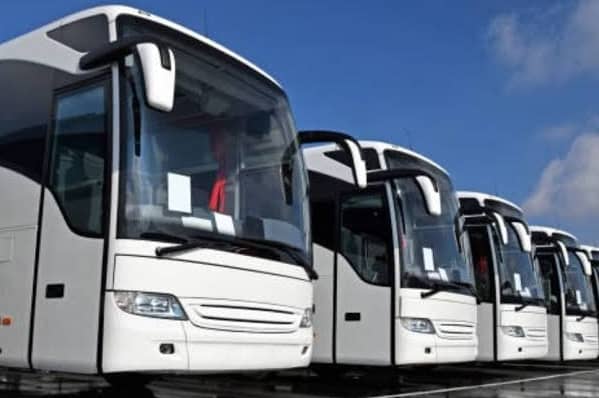 Perbedaan Bus Pariwisata dan Bus Reguler: Lebih dari Sekedar Kursi dan Rute